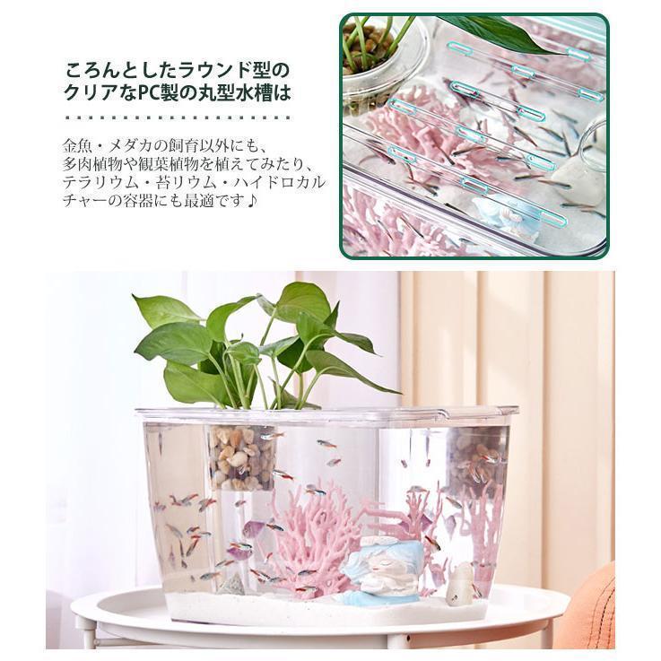  fishbowl set me Dakar transparent aquarium human work water plants fish net plastic bottle aquarium Bubble bowl bottle terrarium moss terrarium kokelium resin ABS made 