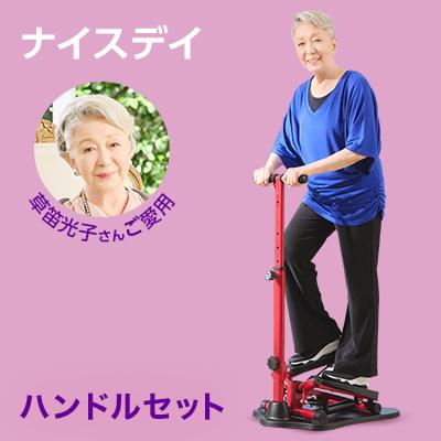  health stepper Nice tei steering wheel set regular goods Nice te- Nice ti shop Japan going up and down motion . pipe light . futoshi ... power health here ro. delivery 