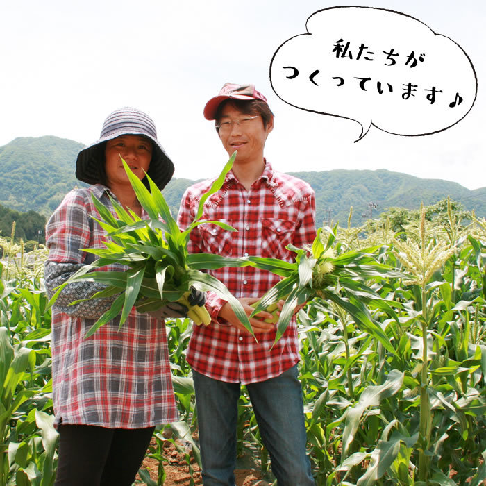  corn .... Young corn 30ps.@ Yamanashi prefecture agriculture house direct delivery .. market 