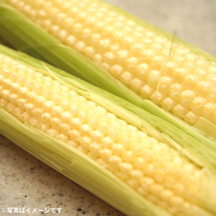  corn .... Young corn 30ps.@ Yamanashi prefecture agriculture house direct delivery .. market 