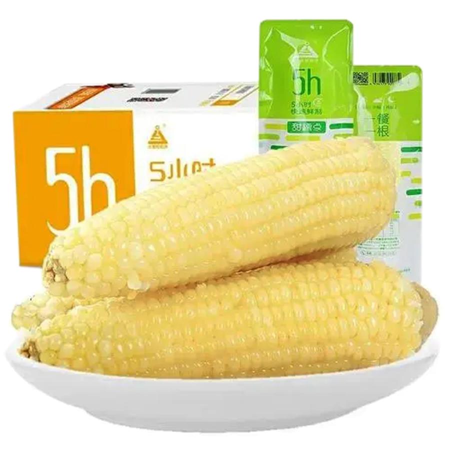 [. sphere rice ( yellow color ) 1 pcs ]( normal temperature preservation vacuum axis attaching ).. rice . rice yellow sphere rice .. sphere rice . sphere rice corn maize armpit si- corn agriculture work thing 