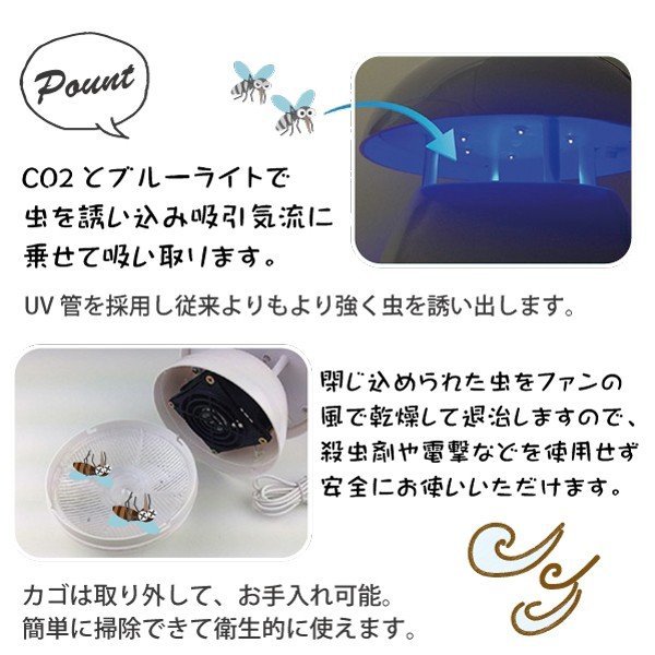 shunkashuutou-zakka_799_2