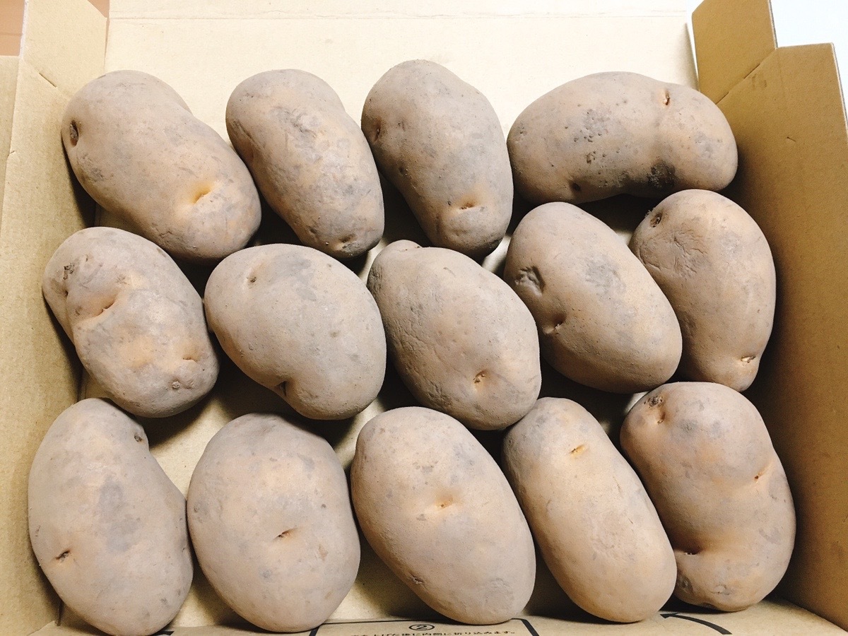  Aomori prefecture production illusion. potato in ka. ... takkyubin (home delivery service) compact box included approximately 1.5 kilo 