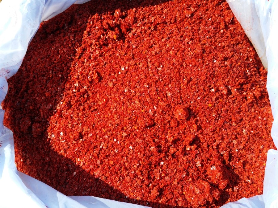 [ can sine] Special on teyancho kimchi for chili pepper 250g < Korea seasoning >