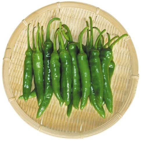 *( free shipping )*. domestic production blue chili pepper 500g Korea capsicum annuum 