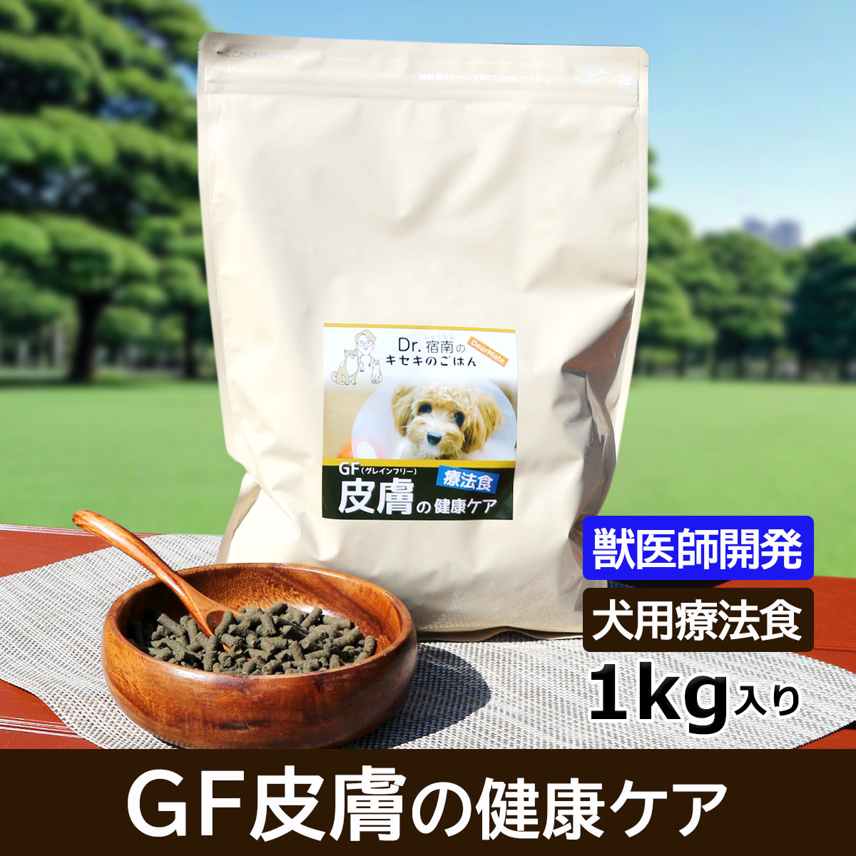 DearMate GF皮膚ケア （グレインフリー） 1kg ドッグフード 療法食、療養食の商品画像