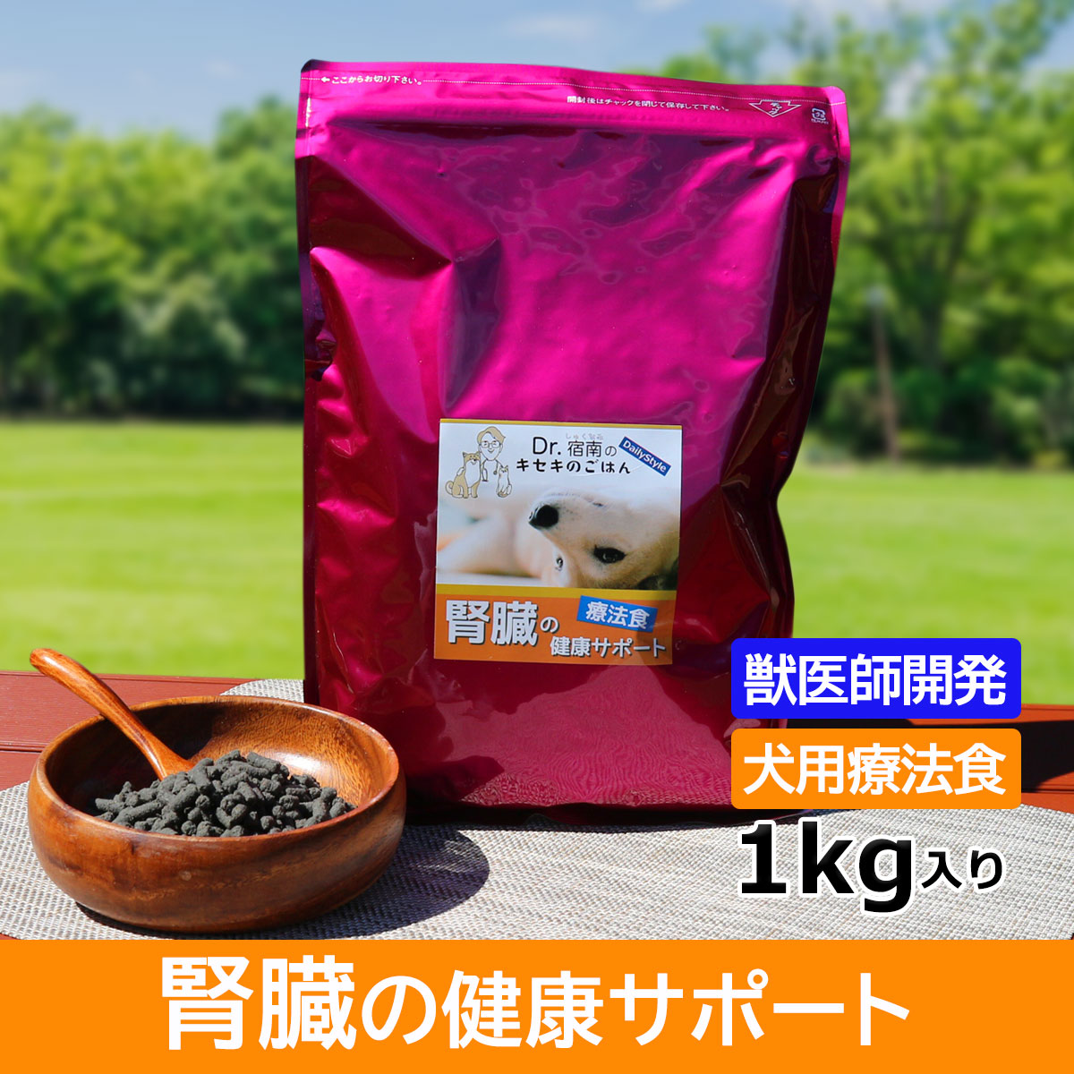 DailyStyle犬用療法食 腎臓サポート 1kg ドッグフード 療法食、療養食の商品画像