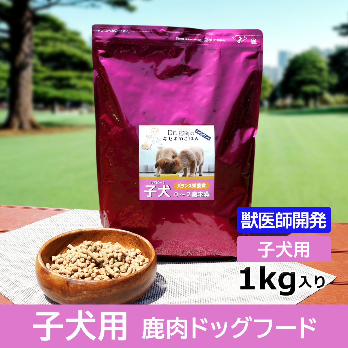 DailyStyle デイリースタイル ドッグフード 子犬パピー用 1歳未満 1kg ドッグフード ドライフードの商品画像