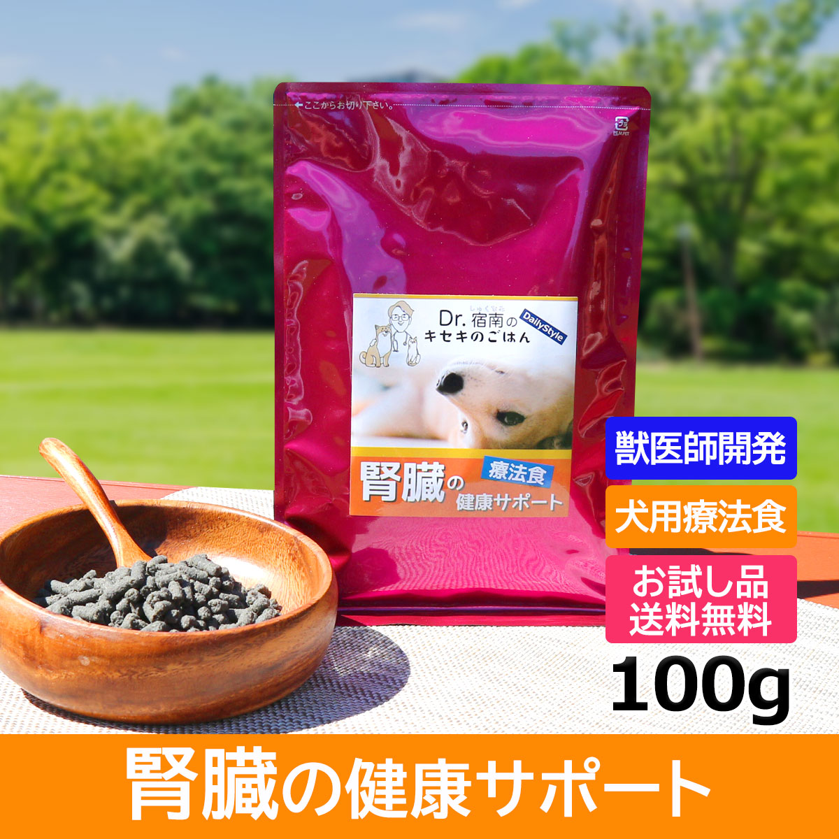 DailyStyle犬用療法食 お試し品・腎臓サポート 100g ドッグフード 療法食、療養食の商品画像