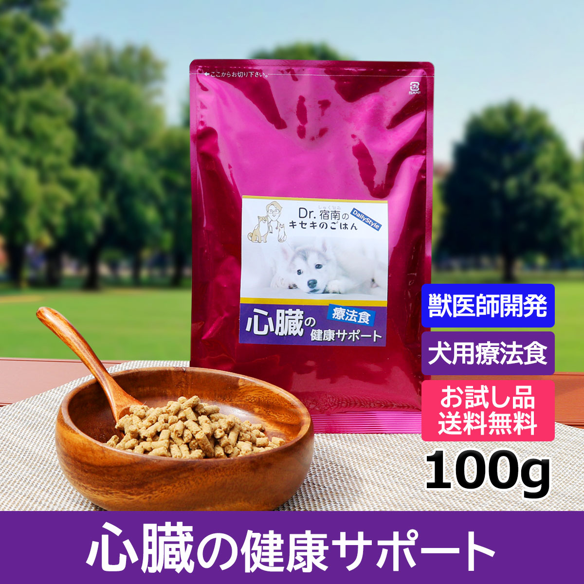 DailyStyle犬用療法食 お試し品・心臓サポート 100g×1個 ドッグフード 療法食、療養食の商品画像