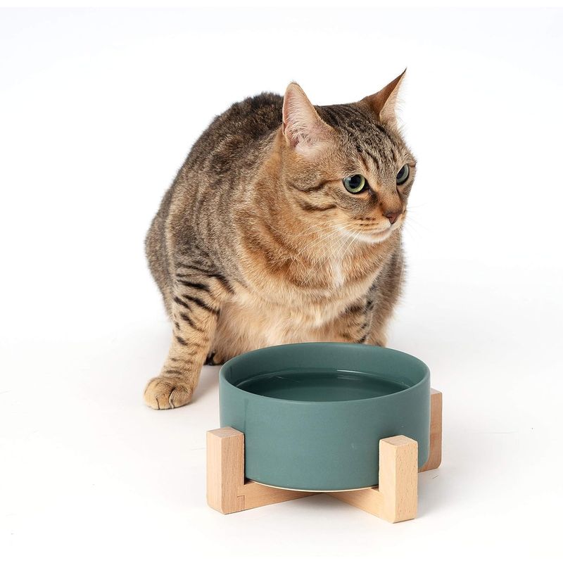 Paw Made Poe meido dog cat for pets tableware wooden stand attaching ceramic bo Wolf -do bowl green M 850ml