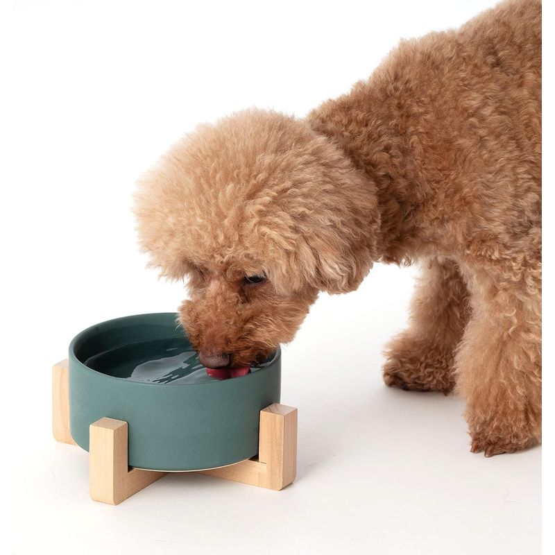 Paw Made Poe meido dog cat for pets tableware wooden stand attaching ceramic bo Wolf -do bowl green M 850ml