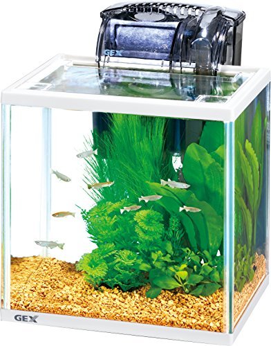 ジェックス メダカ元気 ラクラクセット ガラス水槽 最安値 価格比較 Yahoo ショッピング 口コミ 評判からも探せる