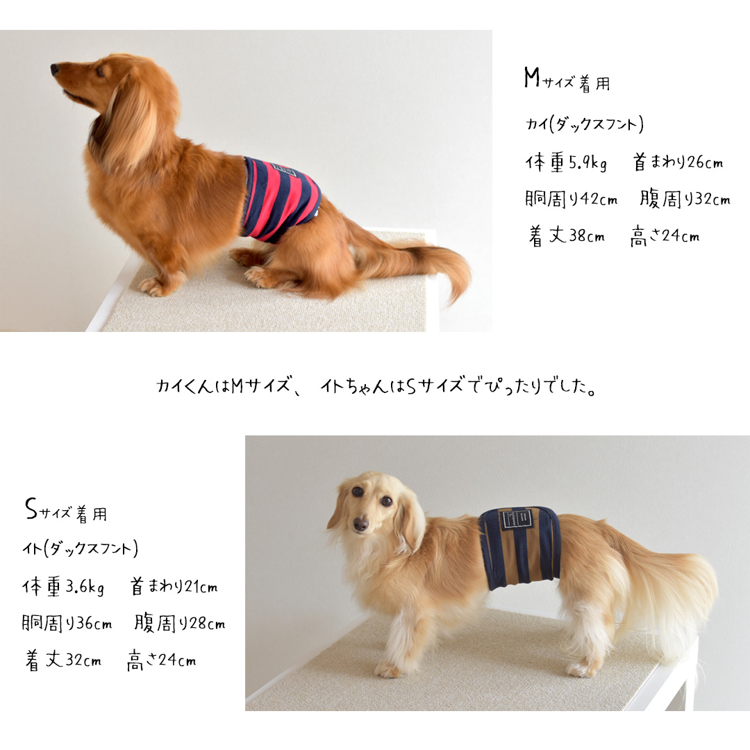  border manner belt manner belt manner wear washing thing manner band dog wear marking prevention nursing articles .. packet correspondence 