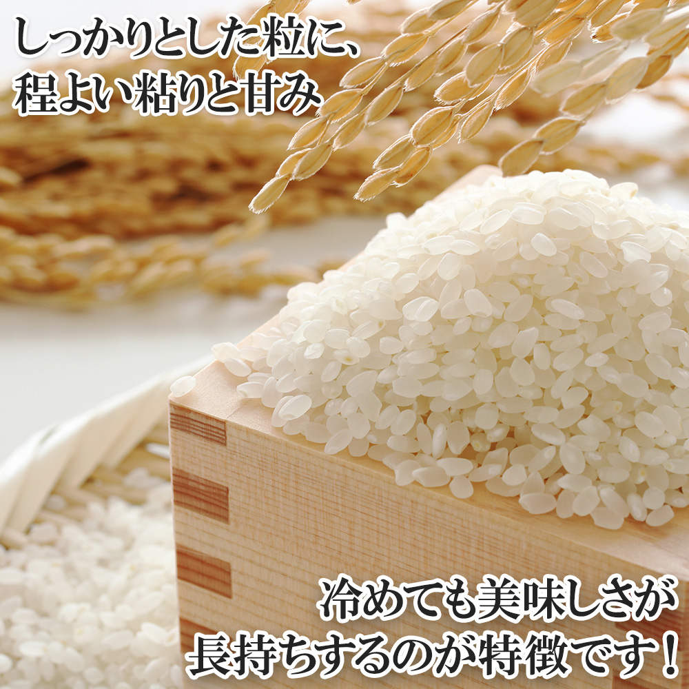  Hokkaido . рис суп карри подарок комплект 2 еда внутри праздник . ответ карри стерильная упаковка подарок gift set. .
