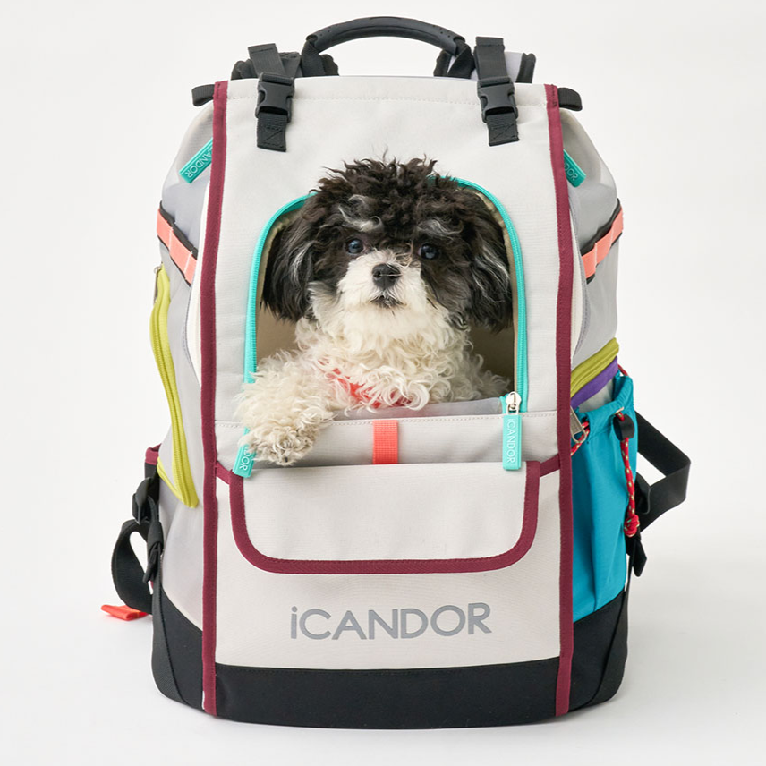 ICANDOR I can da-JIGE BAG MISTY GRAY домашнее животное домашнее животное дорожная сумка упаковка собака кошка серый отметка использование 