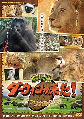  new goods theater version da- wing . came! Africa new legend / (DVD) NSDS-23860-NHK