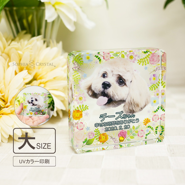  pet memorial tablet KP-29A( large ) photograph color Buddhist altar fittings pet memorial at hand ..49 day rainbow. . square glass lovely Kirakira dog cat ... parakeet 