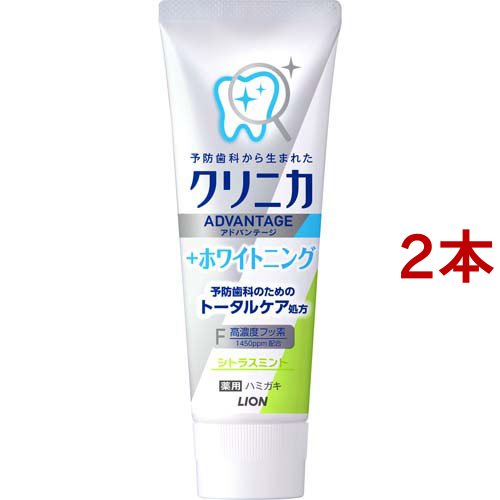 シトラスミント / 2本