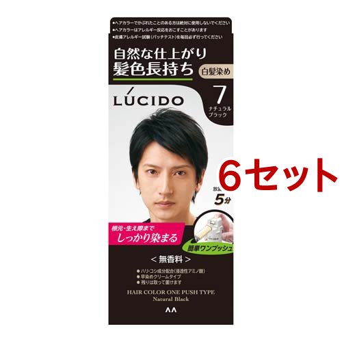 LUCIDO ワンプッシュケアカラー（ナチュラルブラック）×6個 メンズヘアカラー、白髪染めの商品画像