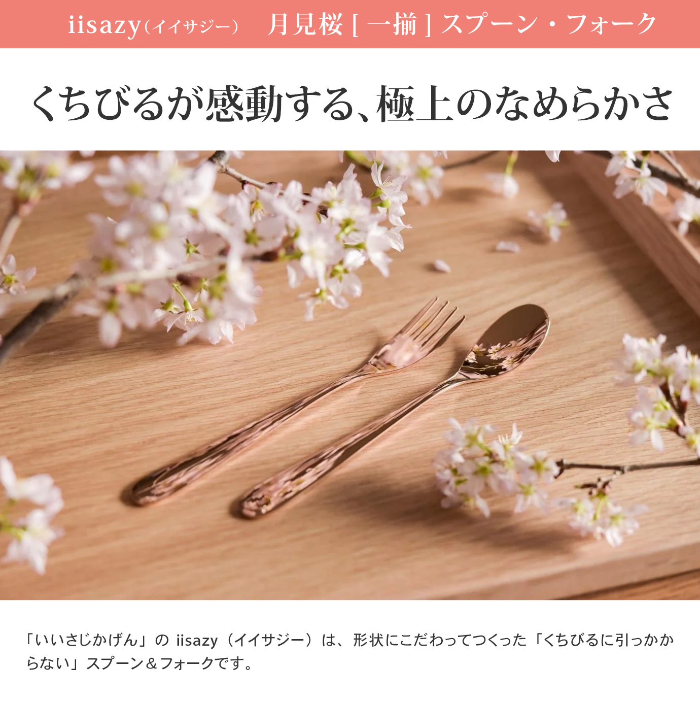 iisazyii облепиха месяц видеть Sakura [ один .]+ палочки для еды 18cm+ с футляром комплект ножи посуда кошка ..