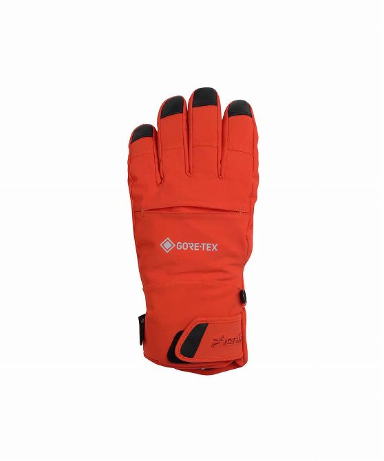 phenix Phoenix Thunderbolt Gloves ACC Gore-Tex лыжи we ASCII перчатка перчатки мужской уличный спорт we ASCII одежда сноуборд одежда 