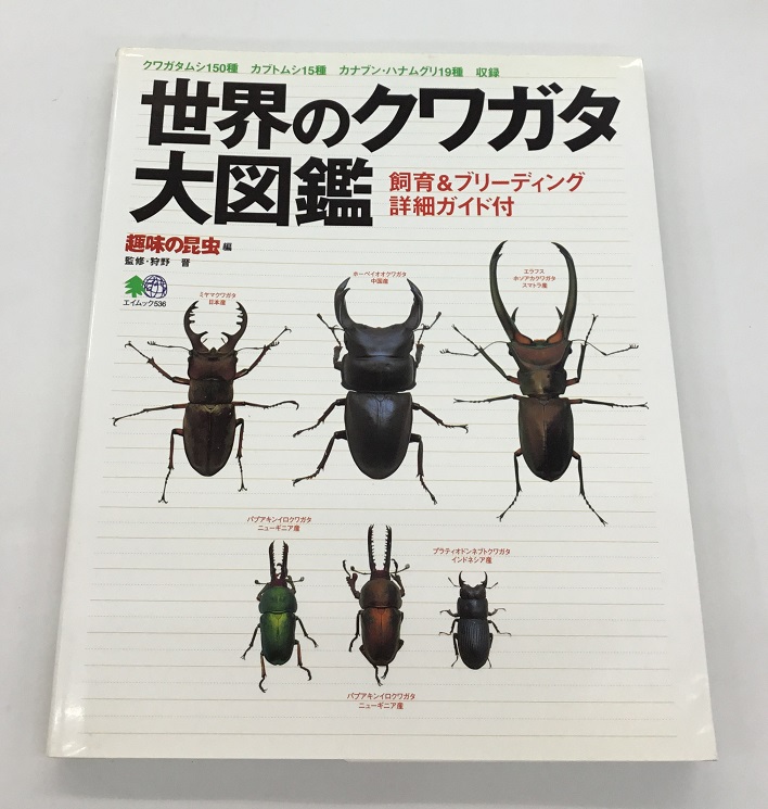  free shipping world. stag beetle large illustrated reference book breeding &b leading details guide attaching hobby. insect compilation ei Mucc used 