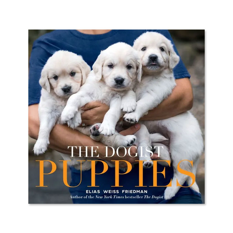[ foreign book ] The *dogi -stroke *papi-z[ Area s*wa chair * Freed man ] The Dogist Puppies [Elias Weiss Friedman] photoalbum . dog pretty 