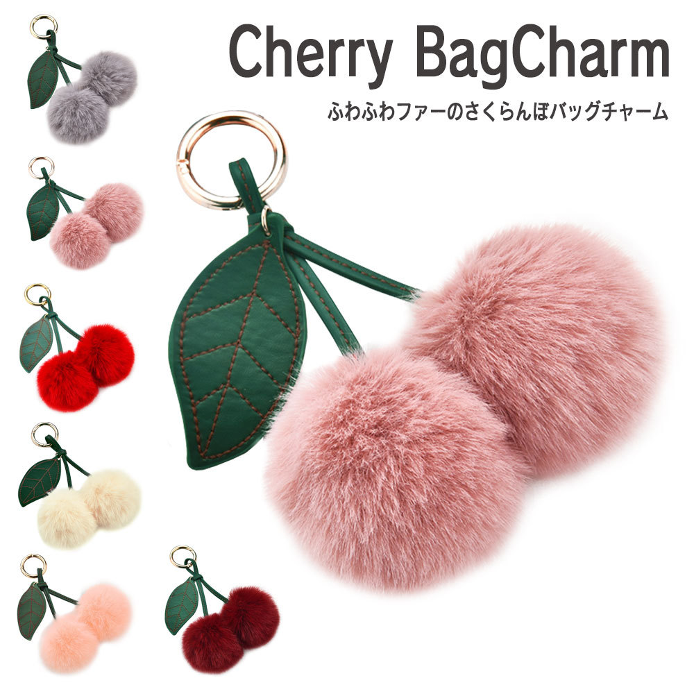 ss-link_bagcharm41