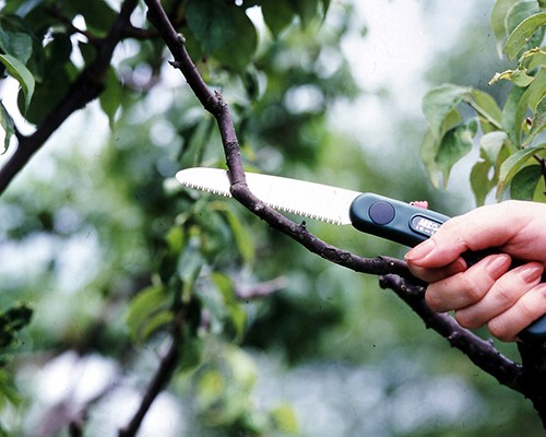  Ars pruning saw folding IK-10 90mm gardening for saw pruning saw small size . included saw folding included 