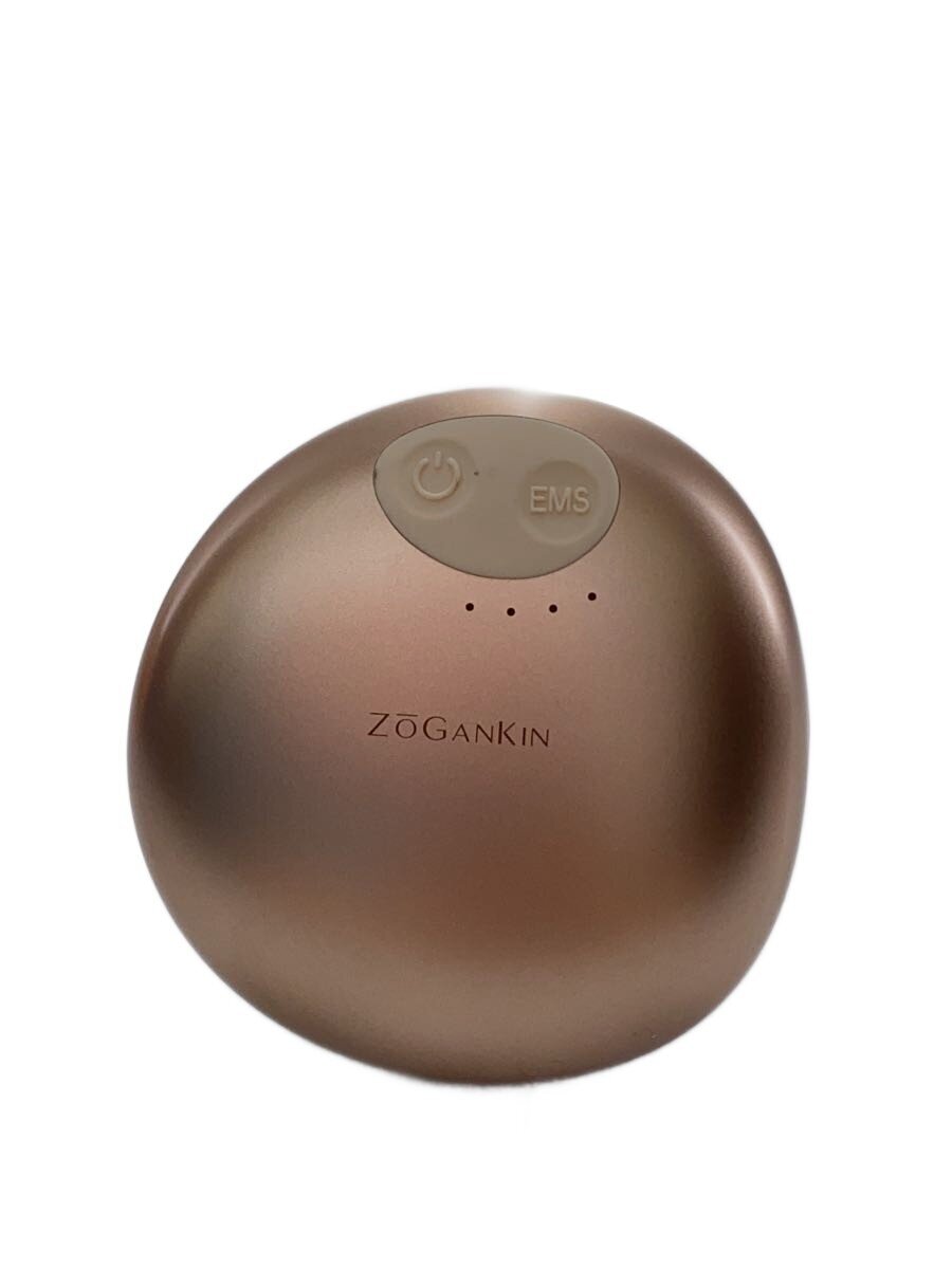 ZOGANKIN ゾーガンキン スカルプ CL-ZKSの商品画像