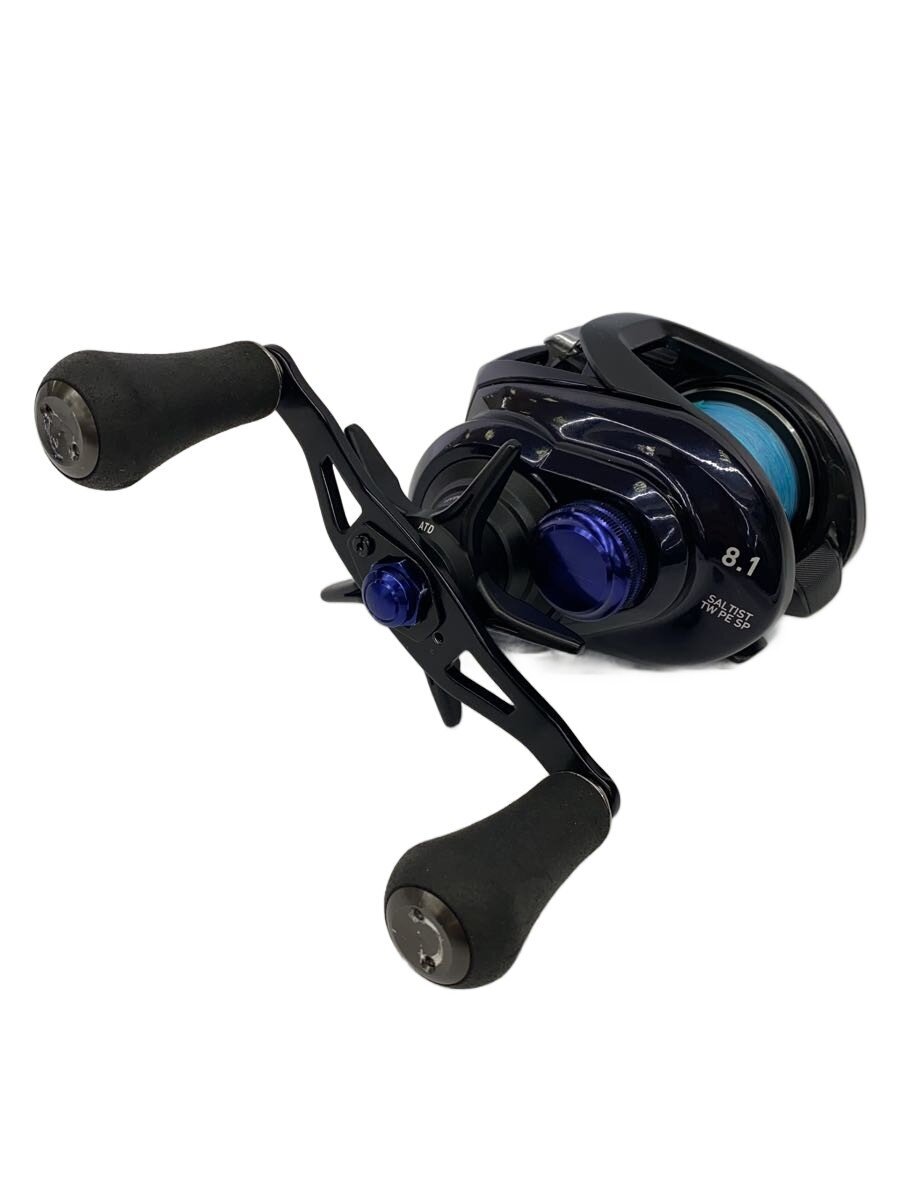 DAIWA（釣り） 23 ソルティスト TW 300XHL PE SPECIAL 釣り ベイト