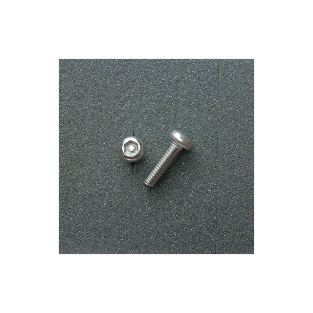  regular goods |DURA-BOLT all-purpose anti-theft cap * bolt TRX bolt button type (2 pcs insertion ) M6x20mm pitch 1.0mm/304 stainless steel...