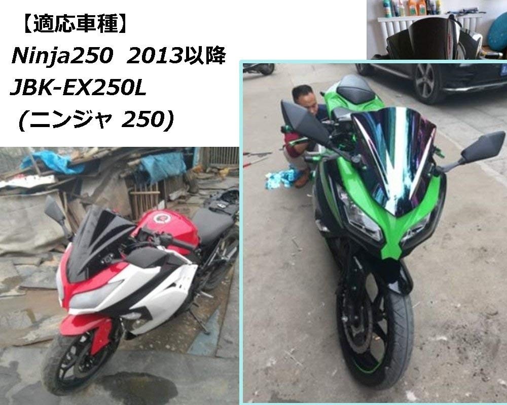 kawasaki Kawasaki ninja Ninja передний защита от ветра обтекатель измерительный прибор козырек окно защита защита от дождя особый дизайн радуга цвет Rainbow рисунок 