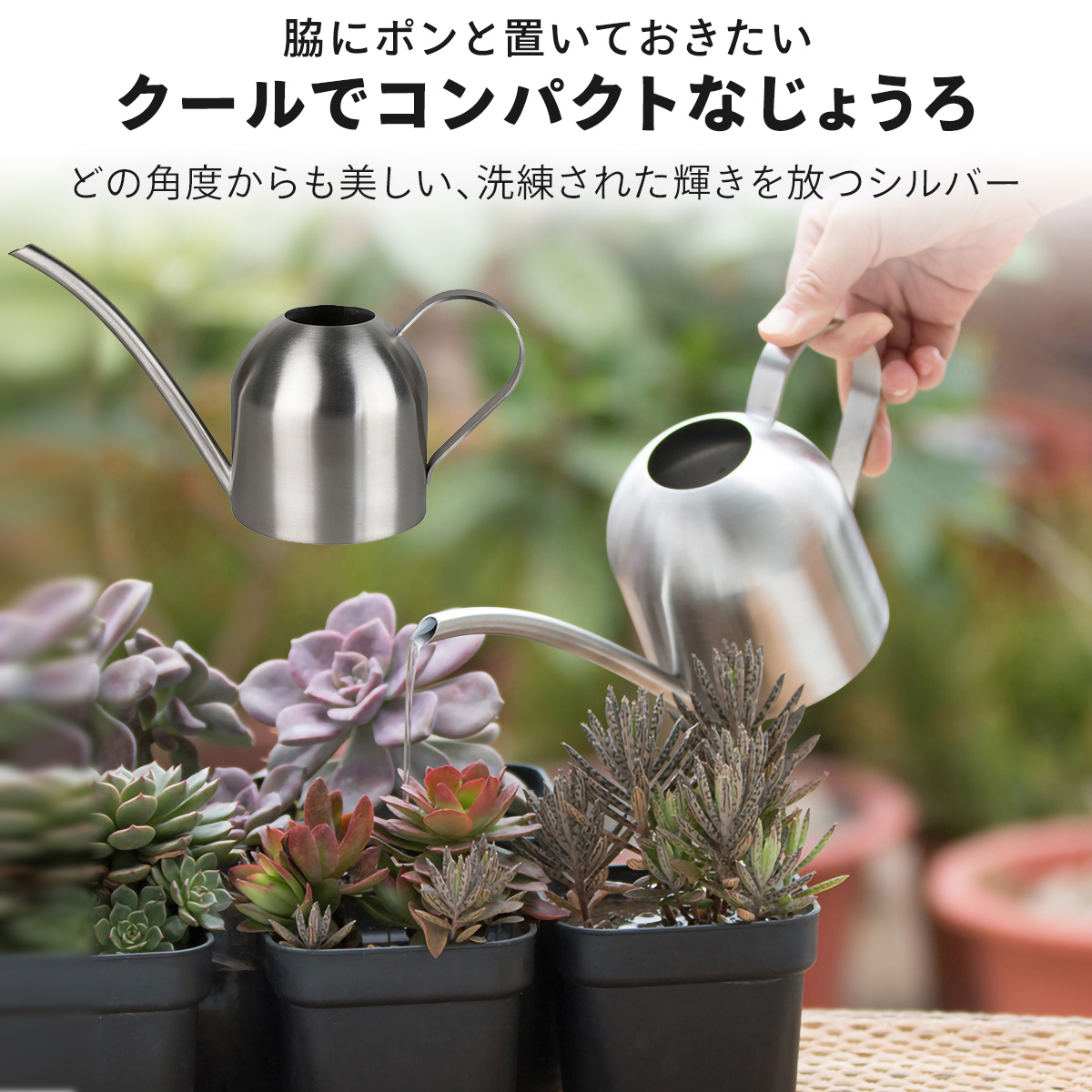  watering can stylish interior 500ml high capacity small decorative plant stainless steel Joe ro stylish jouro small small size Northern Europe . rain . Mini watering can pitcher succulent plant 