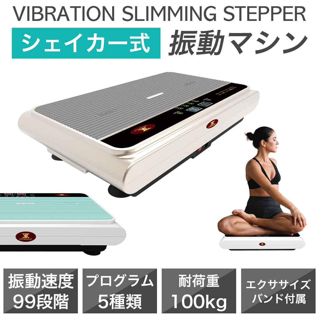 stylishjapan スタイリッシュジャパン スリミング振動ステッパー 