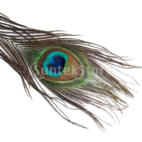 ... feather feather Medama feather beautiful equipment ornament for feather 23-33cm 10 pcs insertion . accessory handicrafts raw materials parts hat. decoration . interior also 