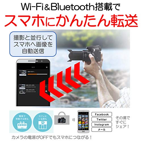 Canon компактный цифровой фотоаппарат PowerShot SX70 HS оптика 65 кратный zoom /EVF встроенный /Wi-FI соответствует PSSX70HS