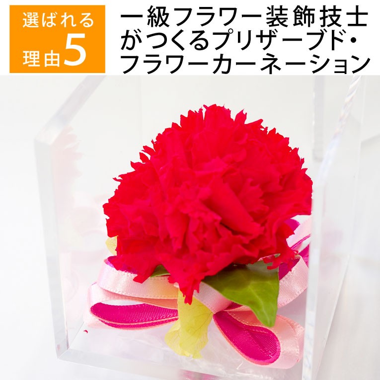  День матери 2024 подарок 70 плата конфеты набор гвоздика цветок p Lizard цветок подарок ваш заказ 