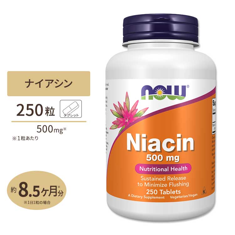 NOW Foods ナウフーズ ナイアシン 500mg 250粒 × 1個 ナイアシンの商品画像