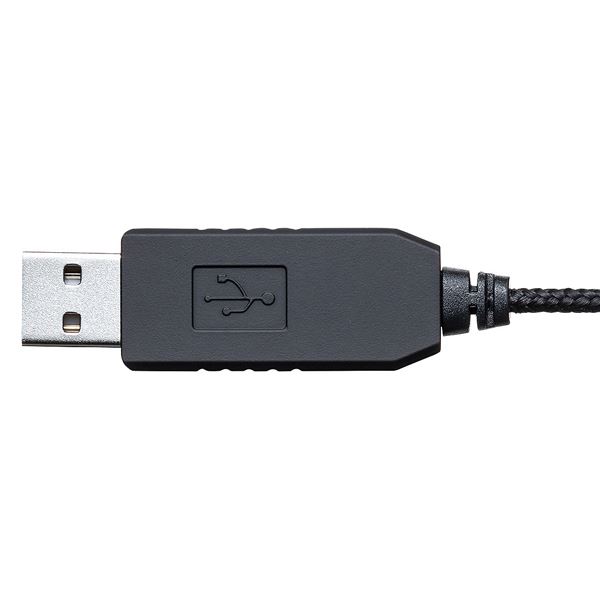  Sanwa Supply USB headset MM-HSU09BK