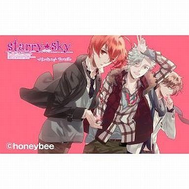 【PSP】ハニービー Starry☆Sky～After Spring～Portable [限定版］ PSP用ソフト（パッケージ版）の商品画像