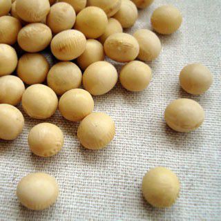  large legume 5kg 2023 year Hokkaido production ..... business use pack 