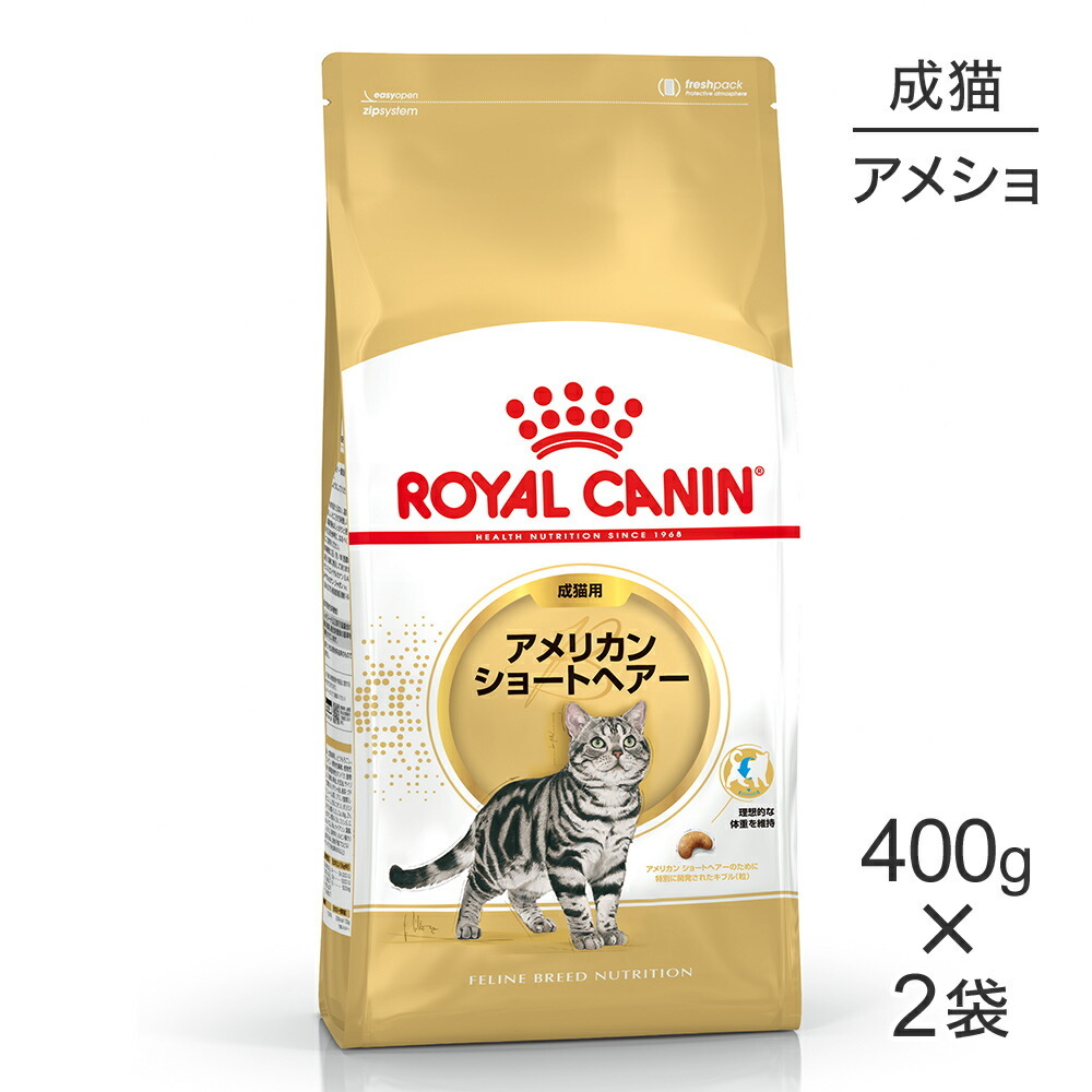 ロイヤルカナン ロイヤルカナン アメリカン ショートヘアー 成猫用 400g×2個 フィーライン ブリード ニュートリション 猫用ドライフードの商品画像