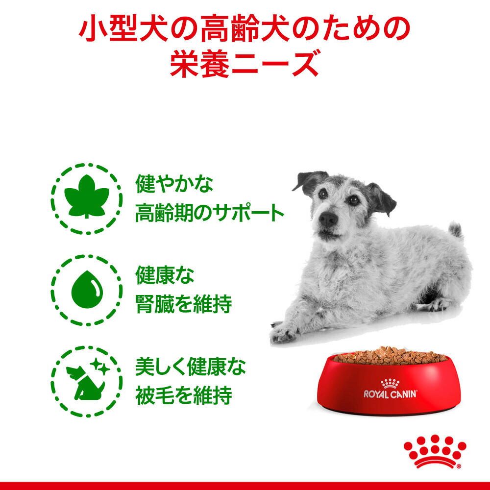 [85g×48 sack ] Royal kana n wet hood Mini aging 12+ height . dog for 12 -years old and more ( dog * dog ) [ regular goods ]