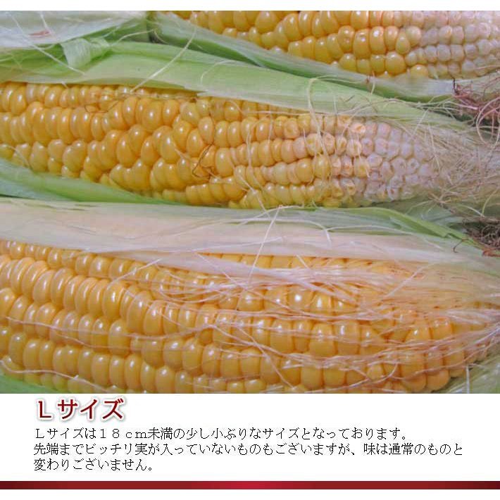  corn raw . meal .... fruit maize Hokkaido ... production . taste with translation 10ps.@ free shipping postage separately . addition be region equipped 