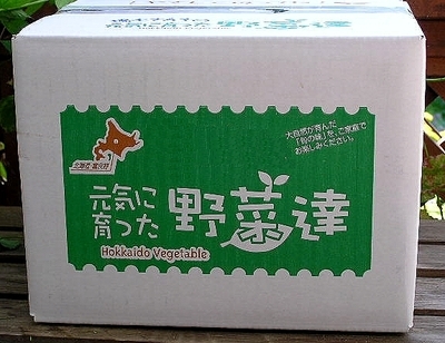  onion Hokkaido . good . production low pesticide cultivation with translation onion 3kg 2 set buy .4kg increase amount. 10kg