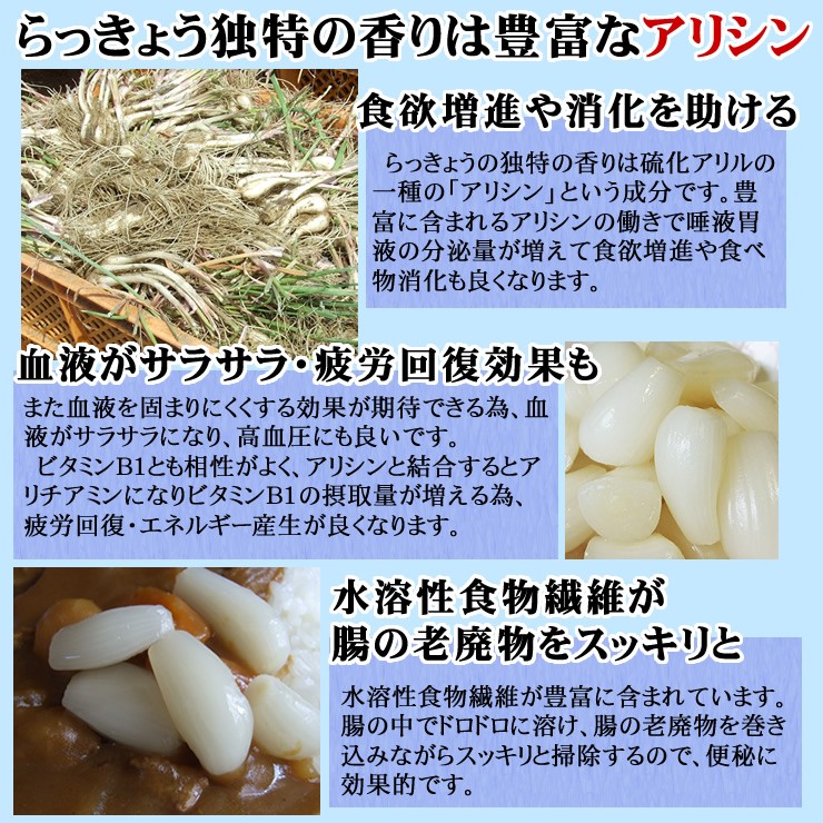 la both Tottori prefecture luck part production . rice field . root attaching sand . rakkyou 3kg size ... sand attaching normal temperature 