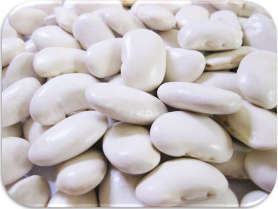  large white flower . legume ( white flower legume ) 1kg.... bottom power China production white flower beautiful person white common bean flower legume kidney bean .. is ... dry bean beans Japanese style food ingredients raw legume 
