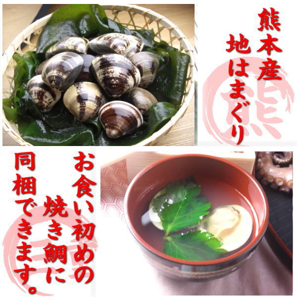  domestic production is ... Kumamoto * three-ply. ground clam weaning ceremony Okuizome * celebration .100g 3~5 piece 